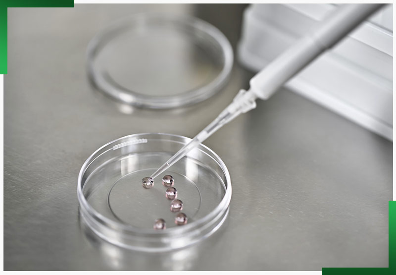 Diagnóstico In Vitro